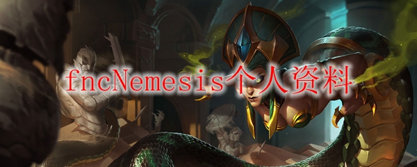 fncNemesis个人资料