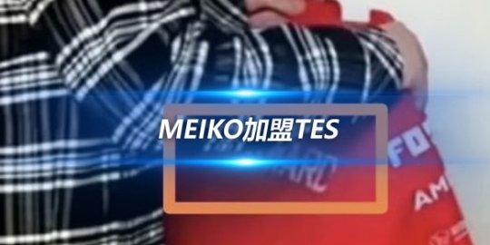 Meiko加盟TES 网友发现队服竟是前上单选手Wayward的ID款