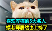 喜欢养猫的5大名人 嫖老师居然也上榜了