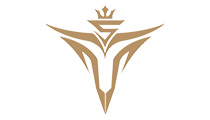 2019LPL春季赛V5战队成员介绍：一意向前V5亦威武 从心开始欢欣且无畏