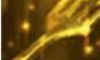 《LOL》云顶之弈金铲子介绍