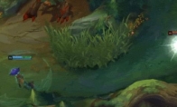 《LOL》妮蔻技能加点推荐