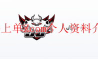 JDG上单Zoom个人资料介绍