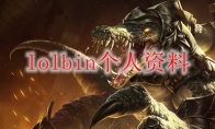 lolbin个人资料