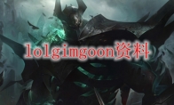 lolgimgoon资料