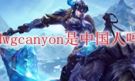 dwgcanyon是中国人吗