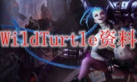 WildTurtle资料