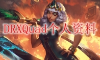 DRXQuad个人资料