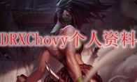 DRXChovy个人资料