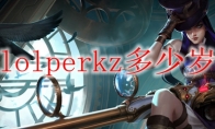 lolperkz多少岁