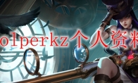 lolperkz个人资料