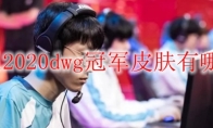 lol2020dwg冠军皮肤有哪些
