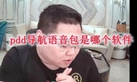  pdd导航语音包是哪个软件