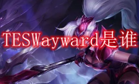 TESWayward是谁