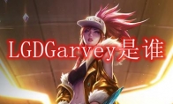 LGDGarvey是谁