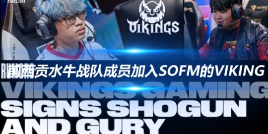 外媒揭秘 前西贡水牛战队成员加入Sofm的Viking Gaming