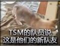 TSM的队员说这是他们的新队友